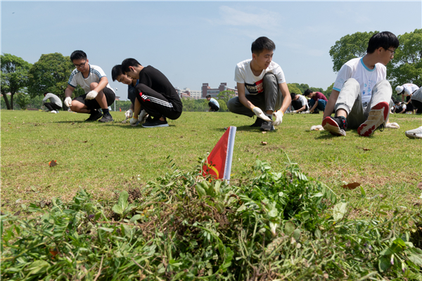 (3)除草劳动成果.jpg